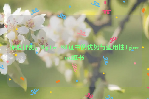 深度评测，DigiCert SSL证书的优势与适用性digicertssl证书