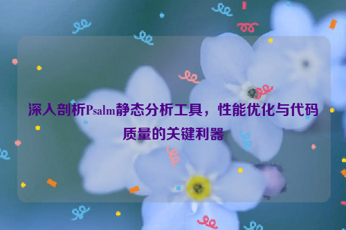 深入剖析Psalm静态分析工具，性能优化与代码质量的关键利器