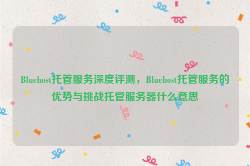 Bluehost托管服务深度评测，Bluehost托管服务的优势与挑战托管服务器什么意思