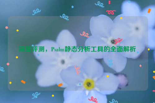 深度评测，Psalm静态分析工具的全面解析