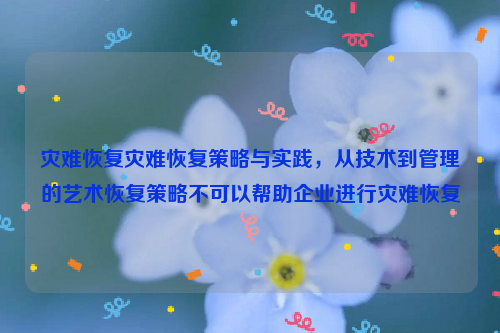 灾难恢复灾难恢复策略与实践，从技术到管理的艺术恢复策略不可以帮助企业进行灾难恢复