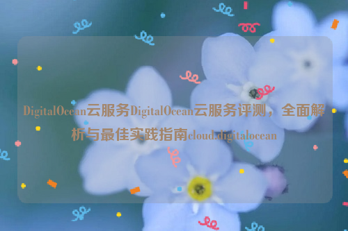 DigitalOcean云服务DigitalOcean云服务评测，全面解析与最佳实践指南cloud.digitalocean