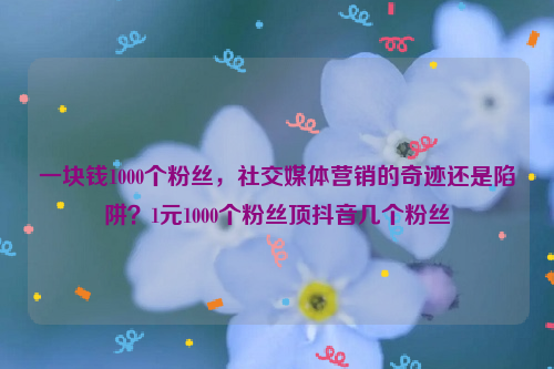 一块钱1000个粉丝，社交媒体营销的奇迹还是陷阱？1元1000个粉丝顶抖音几个粉丝