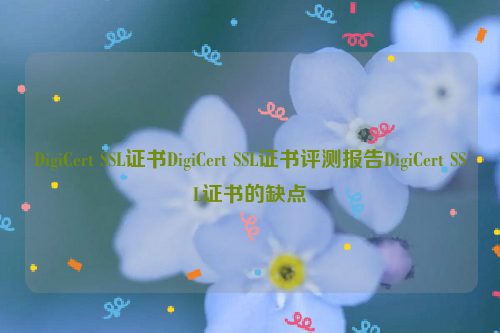 DigiCert SSL证书DigiCert SSL证书评测报告DigiCert SSL证书的缺点