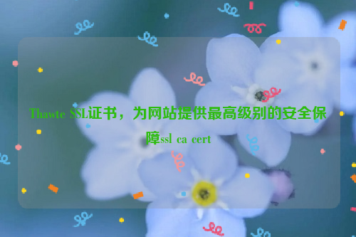 Thawte SSL证书，为网站提供最高级别的安全保障ssl ca cert