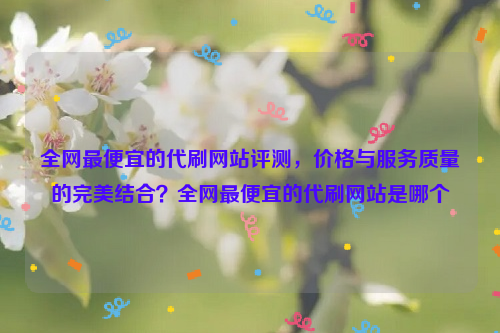 全网最便宜的代刷网站评测，价格与服务质量的完美结合？全网最便宜的代刷网站是哪个