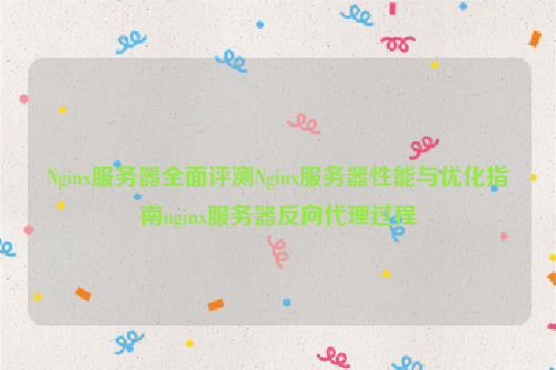 Nginx服务器全面评测Nginx服务器性能与优化指南nginx服务器反向代理过程