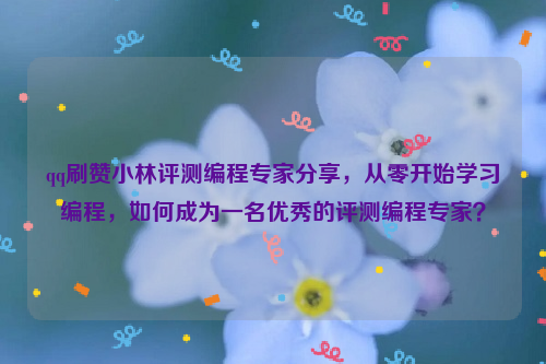 qq刷赞小林评测编程专家分享，从零开始学习编程，如何成为一名优秀的评测编程专家？