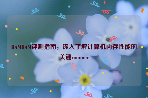 RAMRAM评测指南，深入了解计算机内存性能的关键rammer