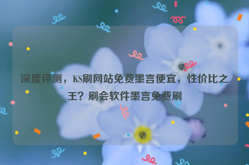 深度评测，KS刷网站免费墨言便宜，性价比之王？刷会软件墨言免费刷