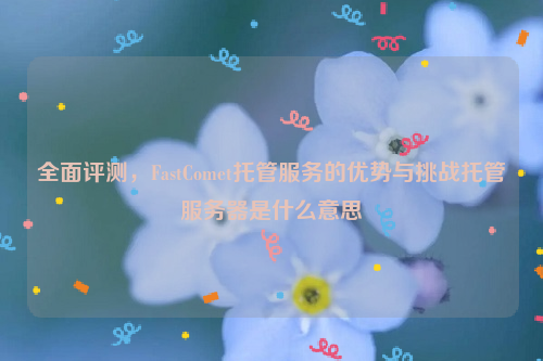 全面评测，FastComet托管服务的优势与挑战托管服务器是什么意思