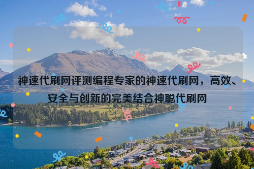 神速代刷网评测编程专家的神速代刷网，高效、安全与创新的完美结合神聪代刷网