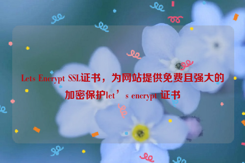 Lets Encrypt SSL证书，为网站提供免费且强大的加密保护let’s encrypt 证书