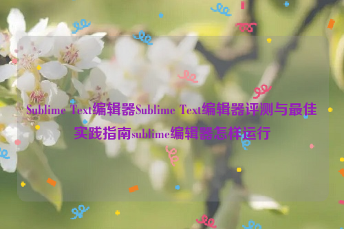 Sublime Text编辑器Sublime Text编辑器评测与最佳实践指南sublime编辑器怎样运行