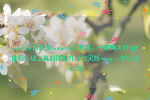 Composer包管理Composer包管理，一款强大的PHP依赖管理工具的详细介绍与实践composer包管理机制