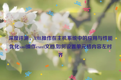 深度评测，XML操作在主机系统中的应用与性能优化xml操作excel文档,如何设置单元格内容左对齐