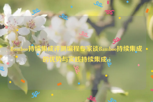 Bamboo持续集成评测编程专家谈Bamboo持续集成的优势与实践持续集成ci