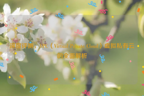 深度评测，VPC（Virtual Private Cloud）虚拟私有云的全面解析