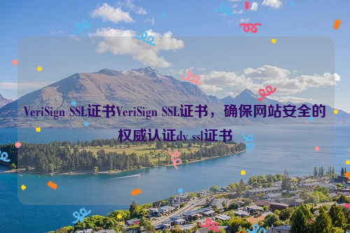 VeriSign SSL证书VeriSign SSL证书，确保网站安全的权威认证dv ssl证书