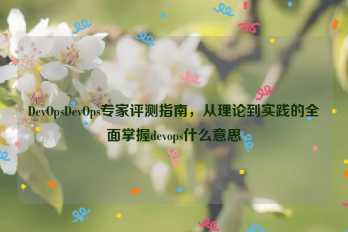 DevOpsDevOps专家评测指南，从理论到实践的全面掌握devops什么意思