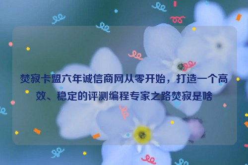 焚寂卡盟六年诚信商网从零开始，打造一个高效、稳定的评测编程专家之路焚寂是啥