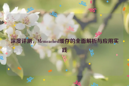 深度评测，Memcached缓存的全面解析与应用实践