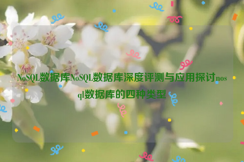 NoSQL数据库NoSQL数据库深度评测与应用探讨nosql数据库的四种类型