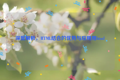 深度解析，HTML结合的优势与应用用html