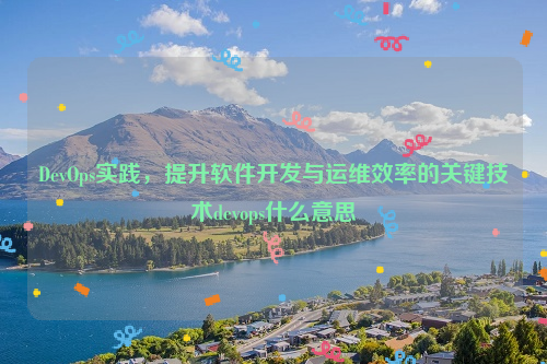 DevOps实践，提升软件开发与运维效率的关键技术devops什么意思