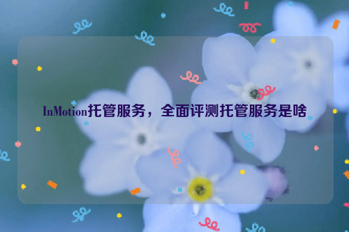 InMotion托管服务，全面评测托管服务是啥