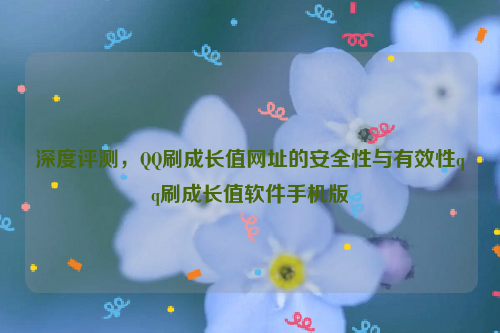 深度评测，QQ刷成长值网址的安全性与有效性qq刷成长值软件手机版