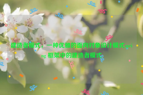 建造者模式，一种优雅的面向对象设计模式spring 框架中的建造者模式