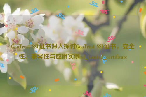 GeoTrust SSL证书深入探讨GeoTrust SSL证书，安全性、兼容性与应用实例ssl_trusted_certificate