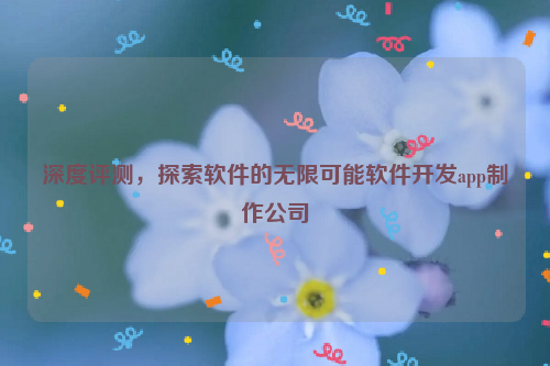 深度评测，探索软件的无限可能软件开发app制作公司