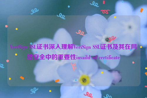 VeriSign SSL证书深入理解VeriSign SSL证书及其在网络安全中的重要性invaild ssl certificate