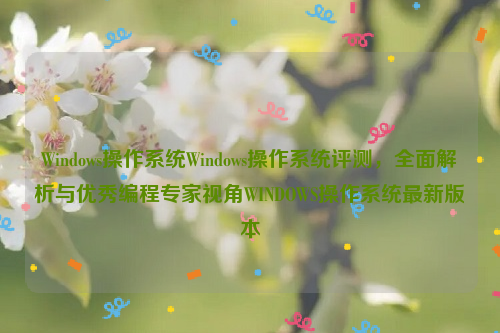 Windows操作系统Windows操作系统评测，全面解析与优秀编程专家视角WINDOWS操作系统最新版本