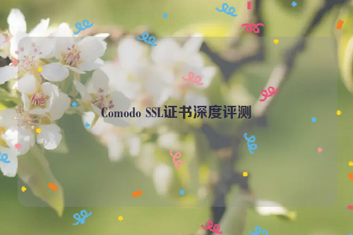 Comodo SSL证书深度评测