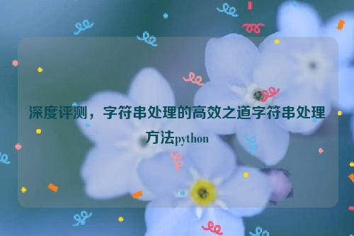 深度评测，字符串处理的高效之道字符串处理方法python