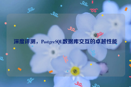 深度评测，PostgreSQL数据库交互的卓越性能