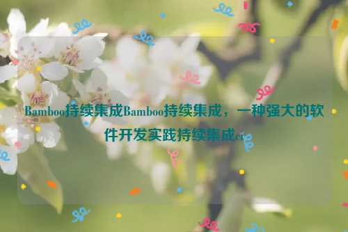 Bamboo持续集成Bamboo持续集成，一种强大的软件开发实践持续集成ci