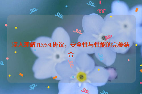 深入理解TLS/SSL协议，安全性与性能的完美结合