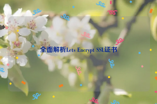 全面解析Lets Encrypt SSL证书