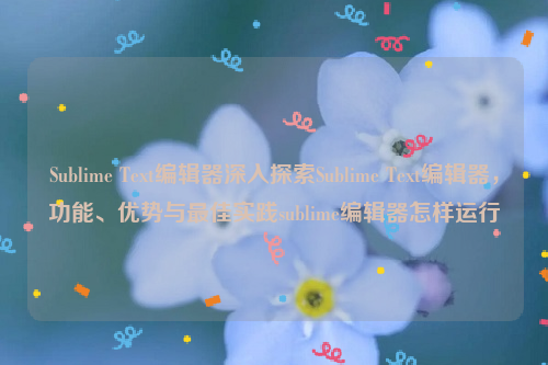 Sublime Text编辑器深入探索Sublime Text编辑器，功能、优势与最佳实践sublime编辑器怎样运行