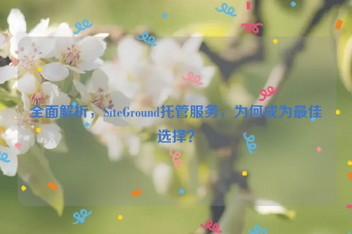 全面解析，SiteGround托管服务，为何成为最佳选择？