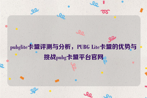 pubglite卡盟评测与分析，PUBG Lite卡盟的优势与挑战pubg卡盟平台官网