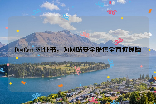 DigiCert SSL证书，为网站安全提供全方位保障