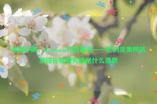 深度评测，HostGator托管服务——您的完美网站家园托管服务器是什么意思