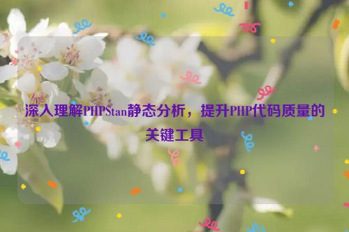 深入理解PHPStan静态分析，提升PHP代码质量的关键工具