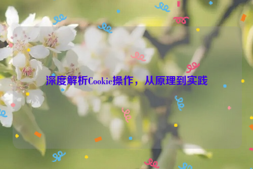 深度解析Cookie操作，从原理到实践