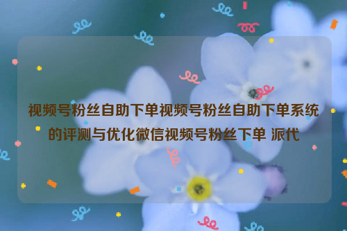 视频号粉丝自助下单视频号粉丝自助下单系统的评测与优化微信视频号粉丝下单 派代